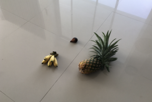 fruits banana pineapple Dataset train neural network