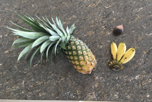 fruits banana pineapple Dataset free neural network
