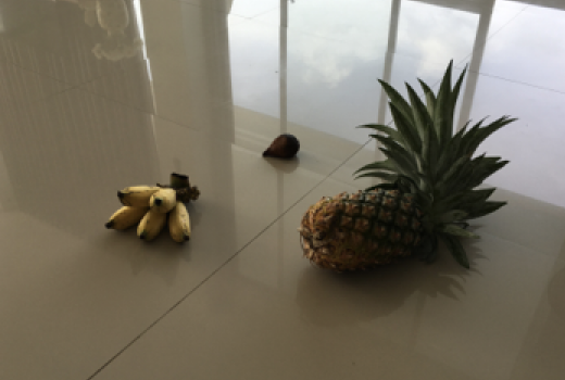 fruits banana pineapple Dataset