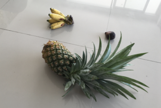 fruits banana pineapple Dataset neural network