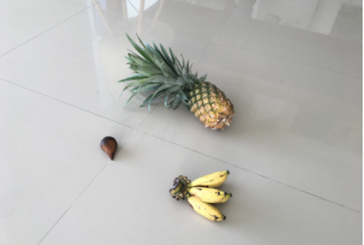 fruits banana pineapple Dataset free neural network