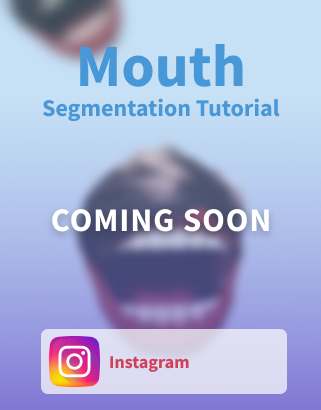 Instagram Segmentation Tutorial